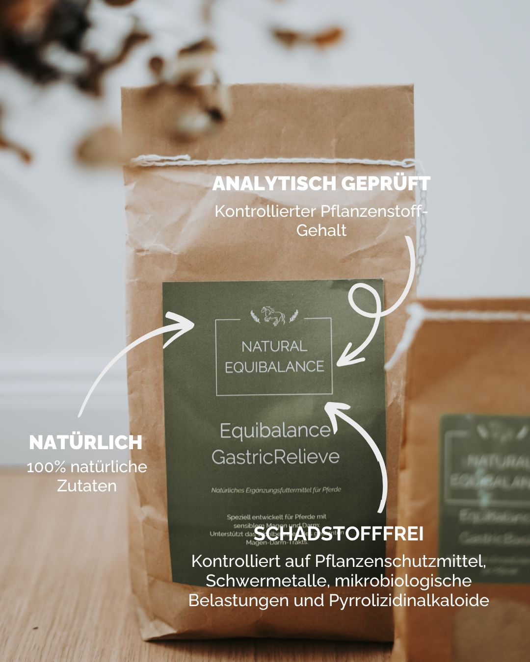 GastricRelieve (Natural Equibalance) 1.5 KG