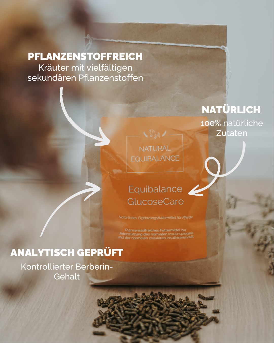 GlucoseCare (ehem. InsulinCare - Natural Equibalance) 1,5kg