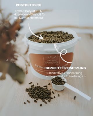 Biome Support (Natural Equibalance) 1,5kg