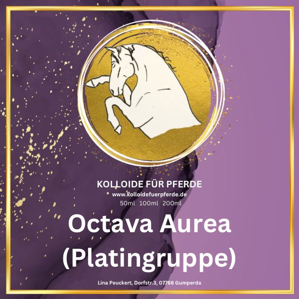 Octava Aurea - Platingruppe
