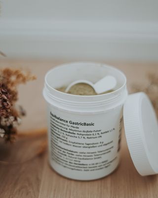 Gastric Basic (Natural Equibalance) 250g
