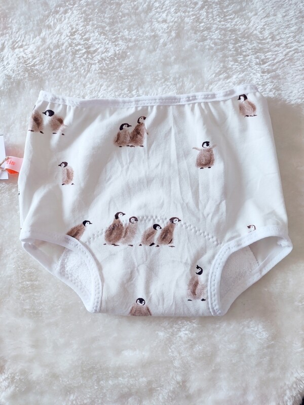 Culotte d'apprentissage