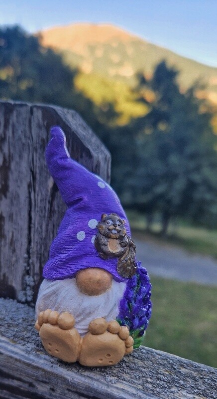 Gnomi della natura Gnomi della natura