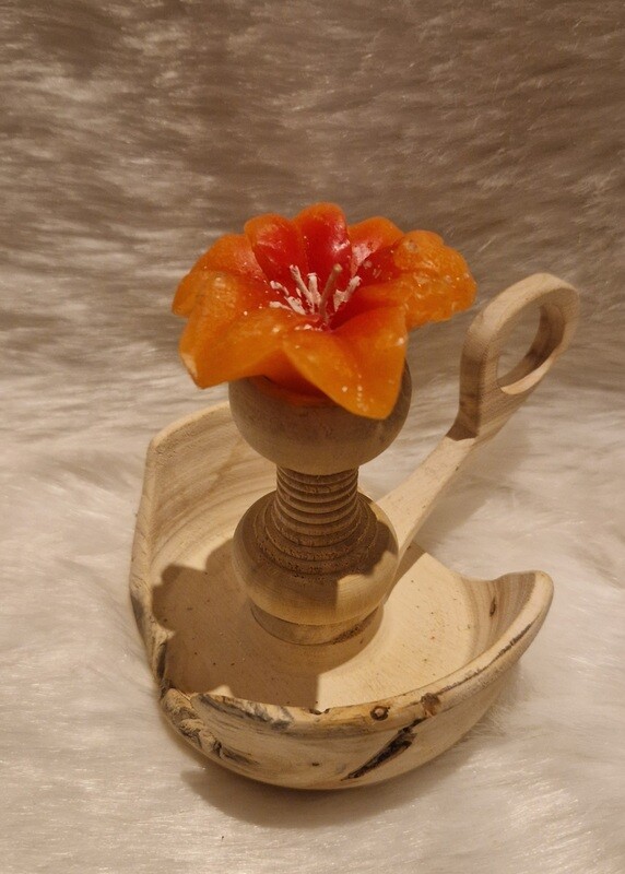 Bugia in radice di Betulla