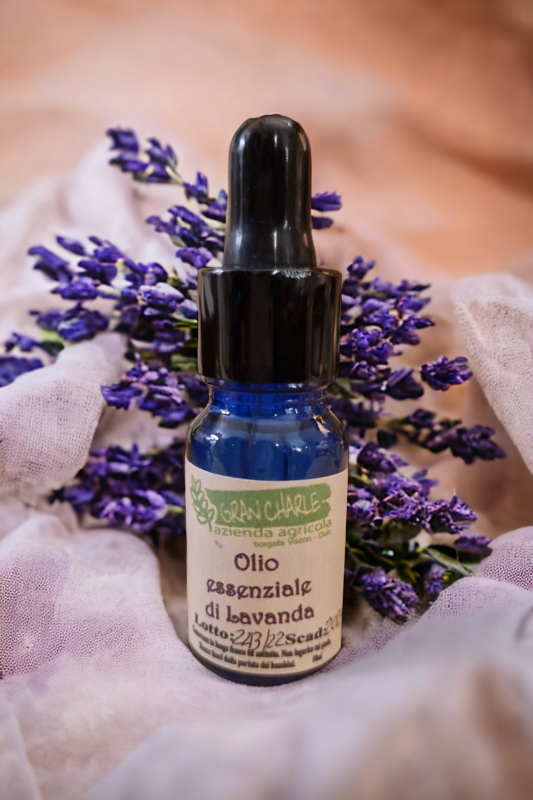 Olio Essenziale di Lavanda Gran Charl Olio Essenziale di Lavanda Gran Charl