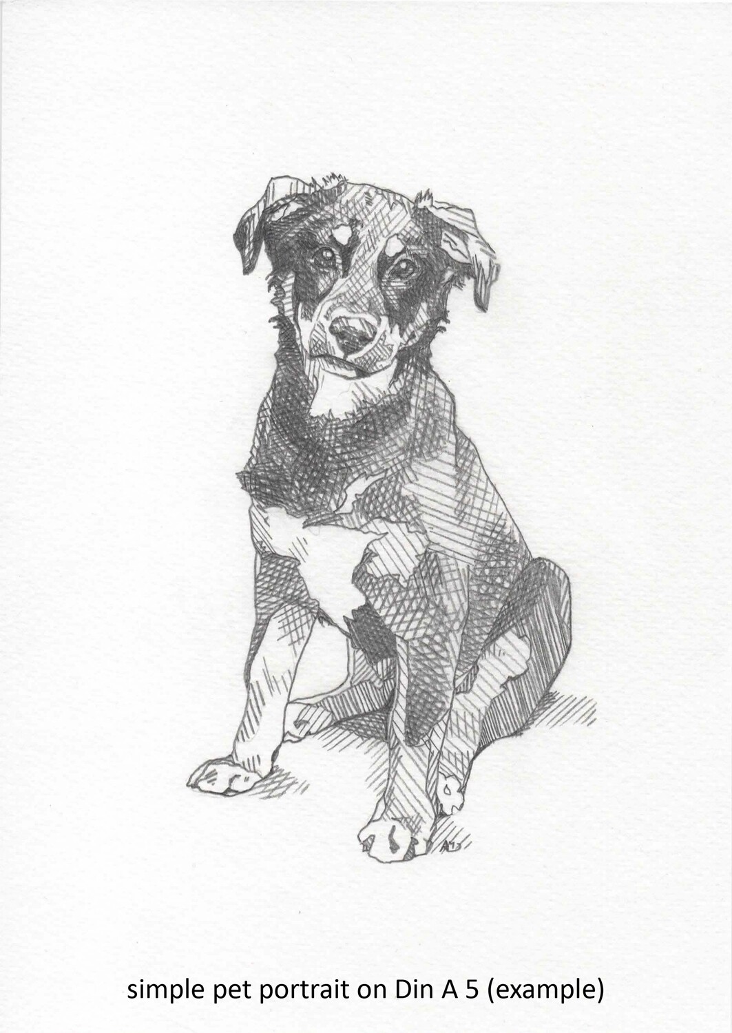 Original Portrait | Commissioned Drawing or Painting