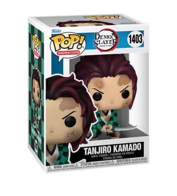 TANJIRO KAMADO