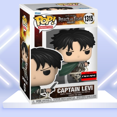 CAPTAIN LEVI