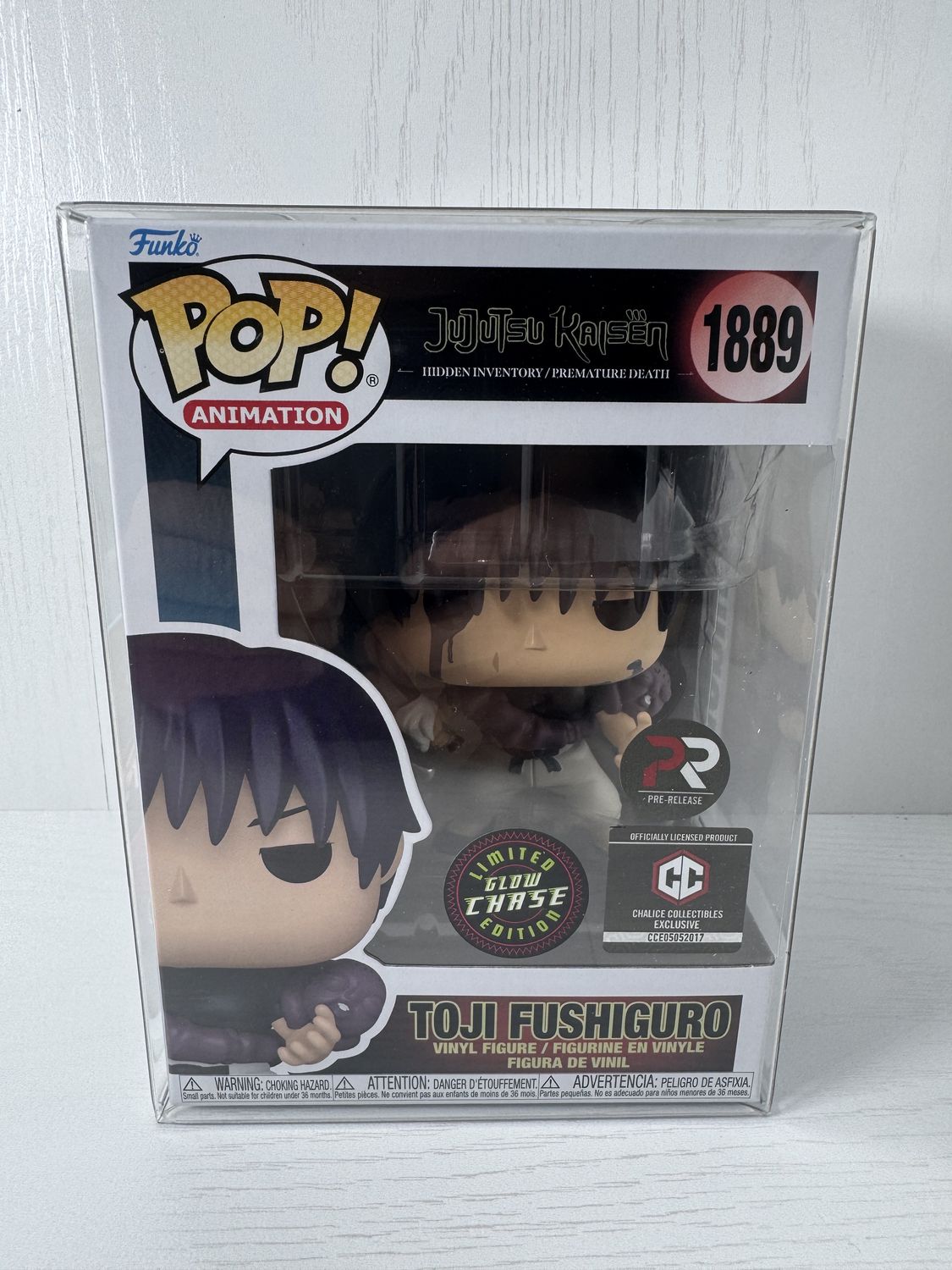 TOJI FUSHIGURO CHASE