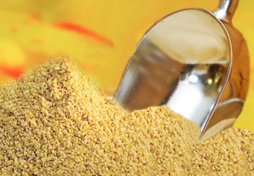 One Pound Maple Sugar