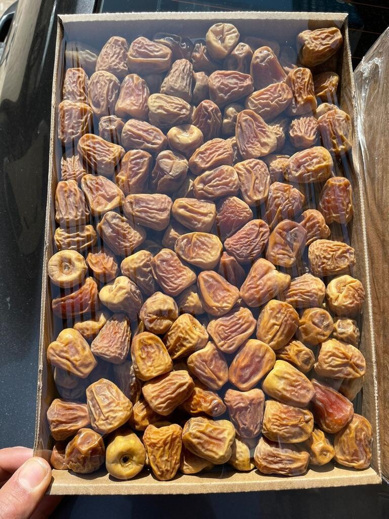 مفتل سكري درجة أولى
