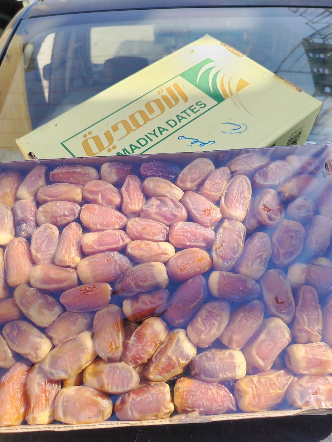 صقعي سعودي بريميم