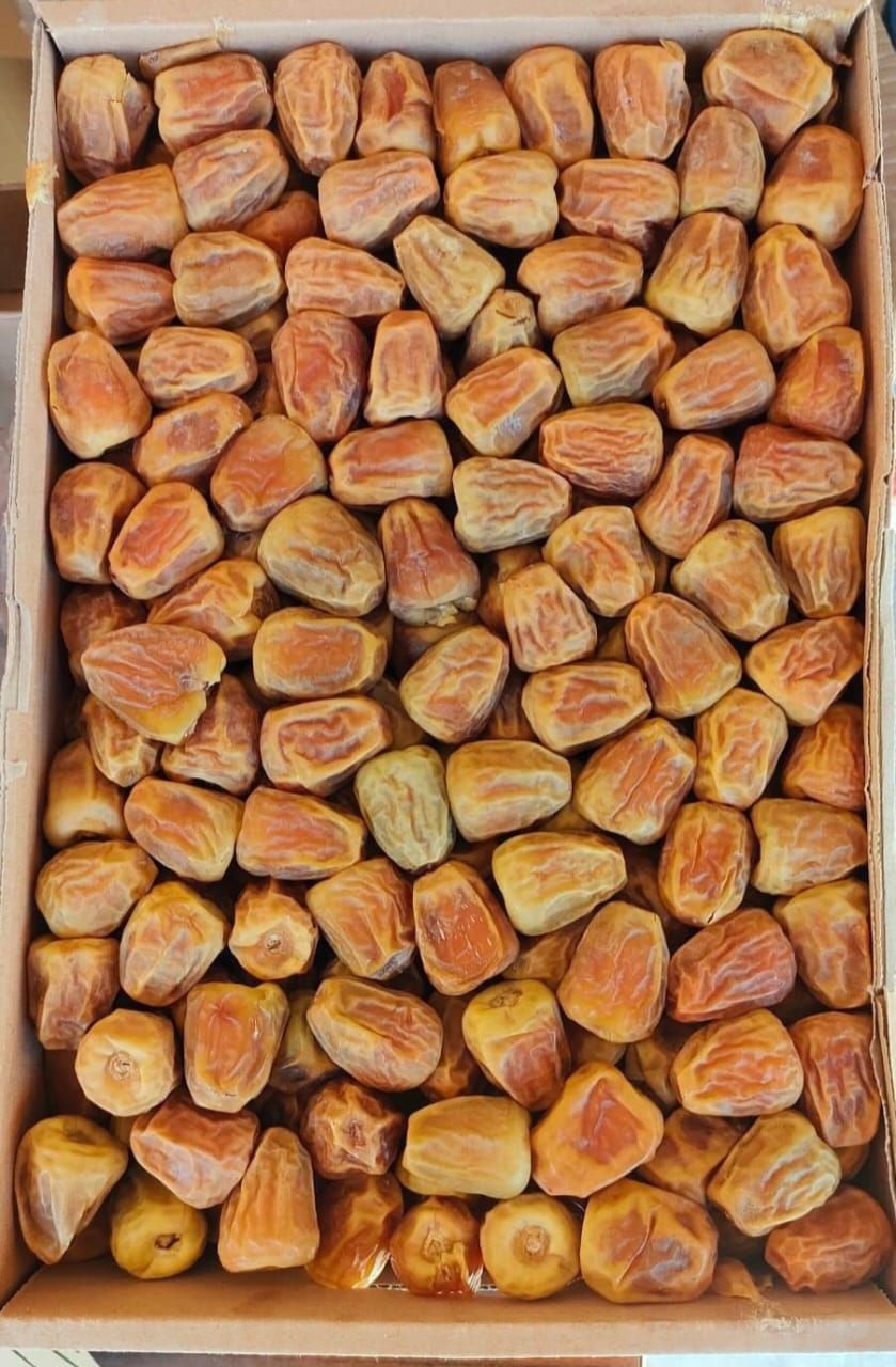 مفتل سكري درجة أولى