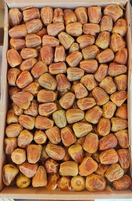 مفتل سكري درجة أولى