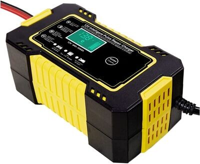 Caricabatterie Auto Rigenera Ripara Carica Batteria Moto Camper 12v fino a 100Ah