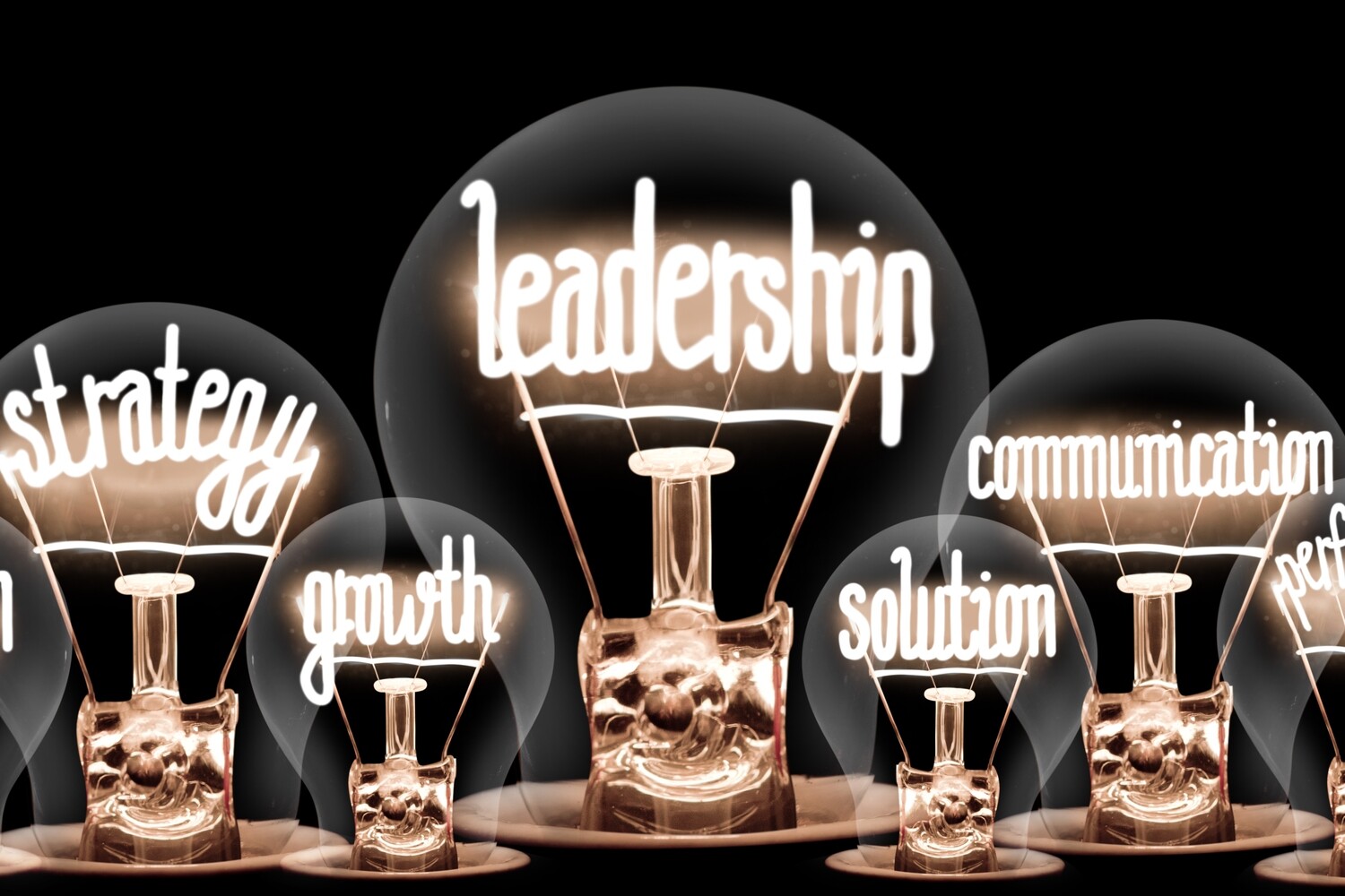 Managing Teams with Servant Leadership – 1 Day, 7 PDUs