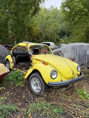 1973 SUPER BEETLE