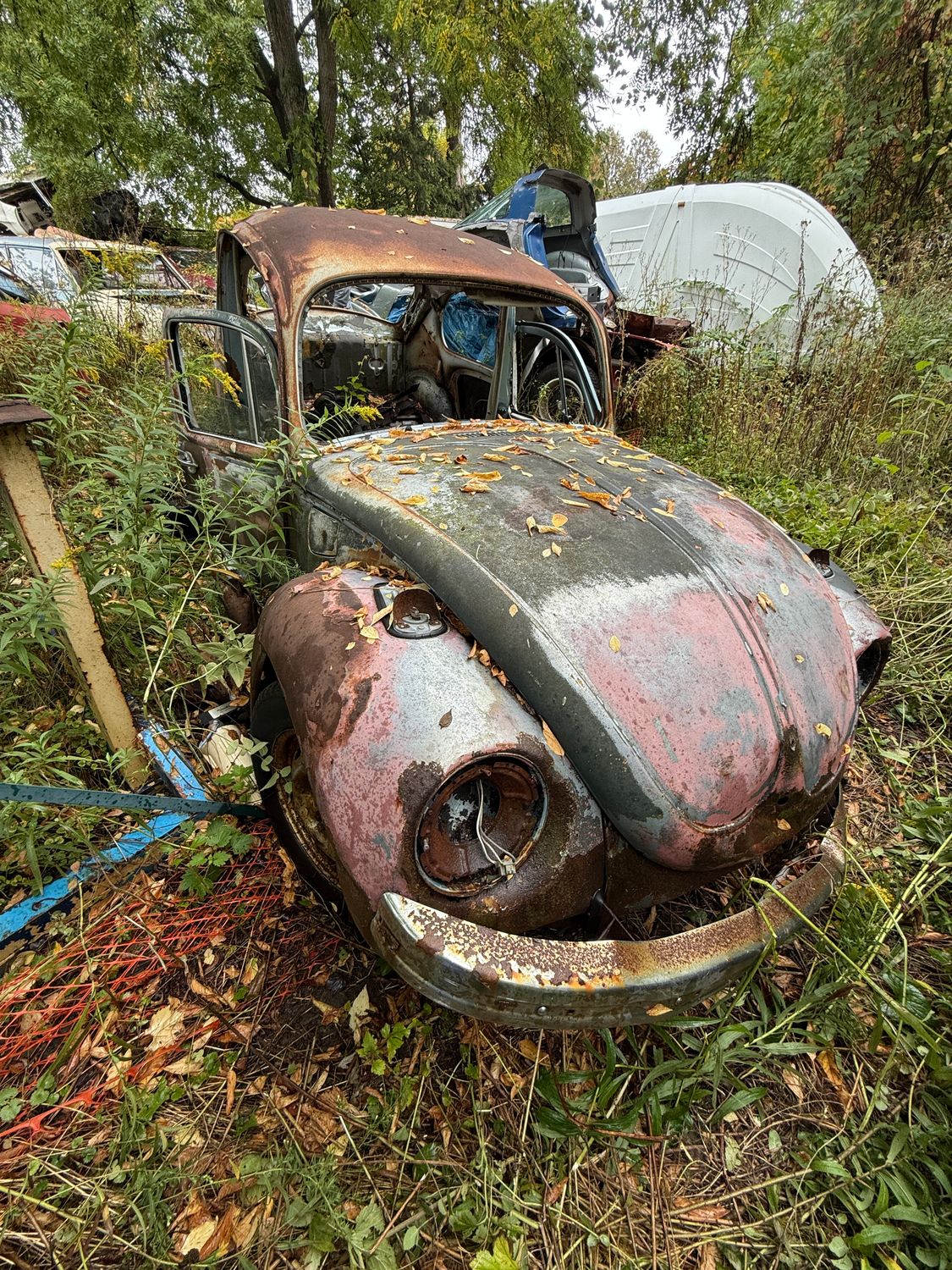 1972 SPECIAL EDITION BAJA BLUE