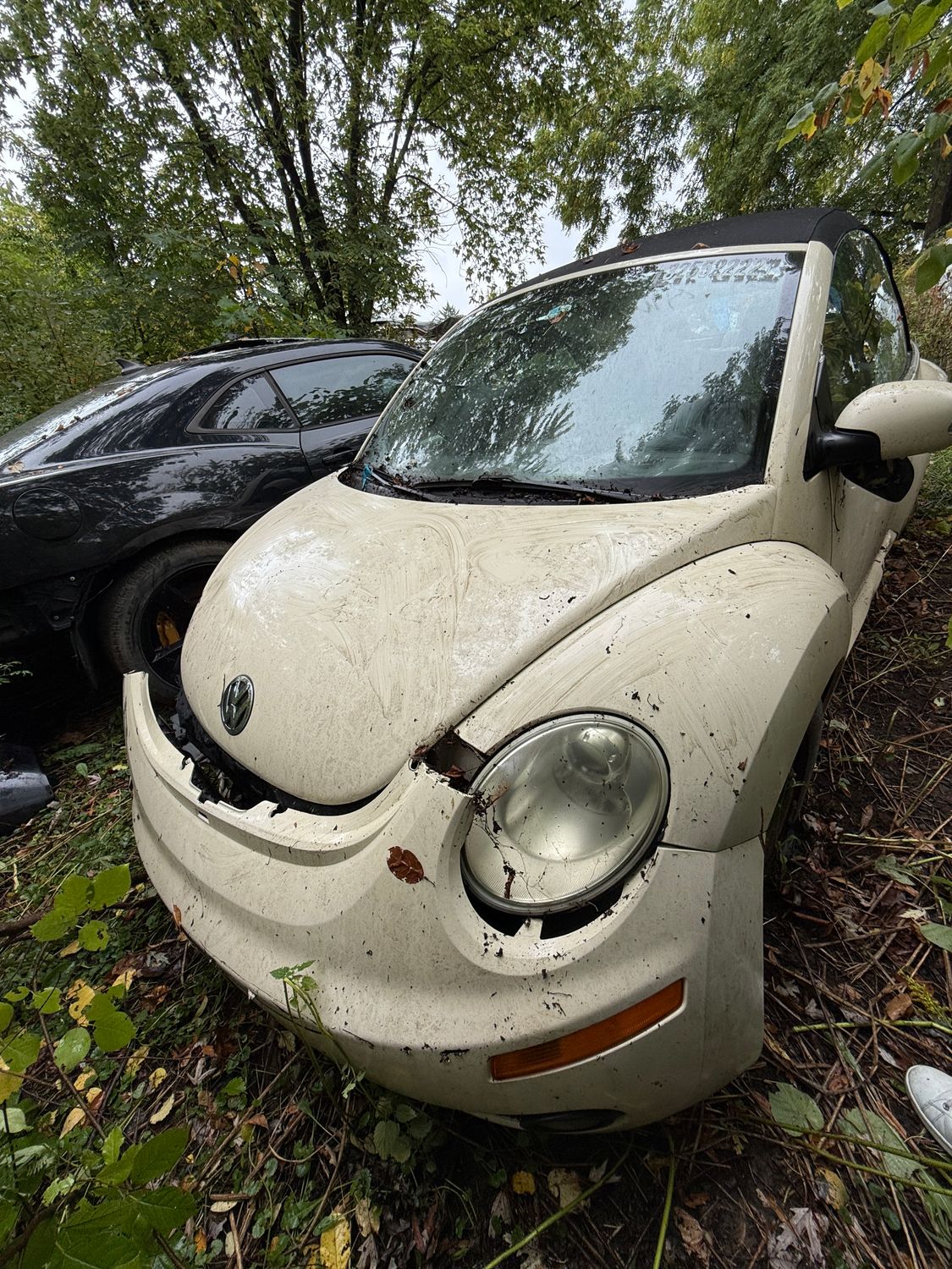 2009 BEETLE CONVERTIBLE