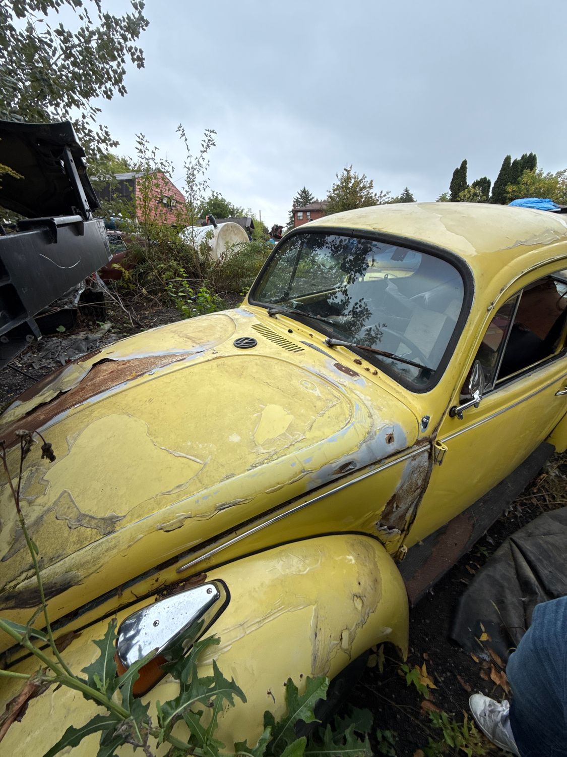 1972 SPECIAL EDITION BAJA YELLOW