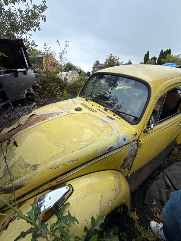 1972 SPECIAL EDITION BAJA YELLOW
