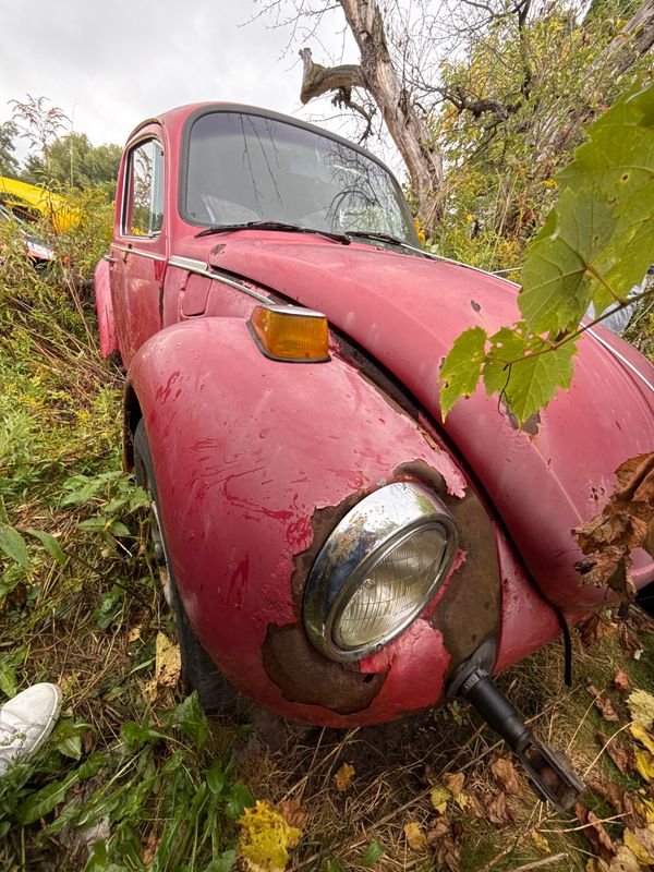 1974 BEETLE RED