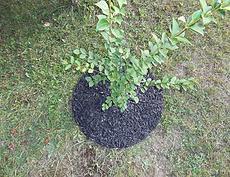 36" Rubber Mulch Tree Ring