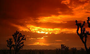 Arizona Investment Property