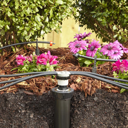 Drip Irrigation for Shrubs (Sold)