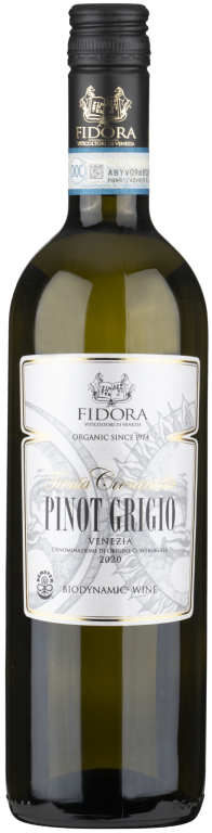 ​Tenuta Fidora Pinot Grigio 2022 – Veneto, Italy