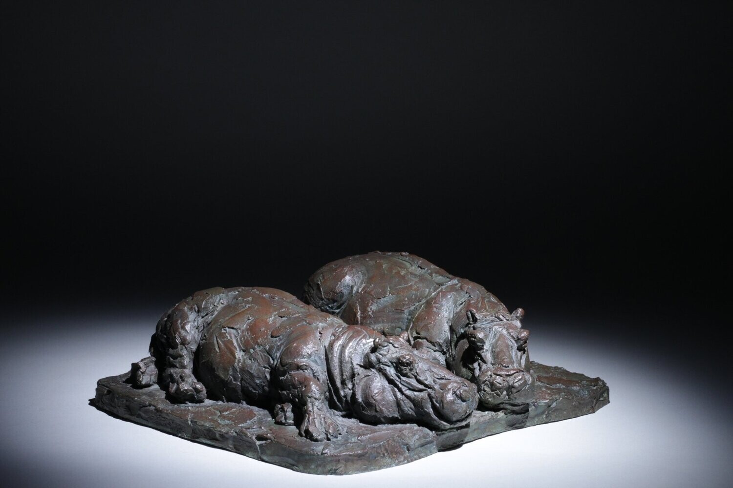 Duo d'hippos