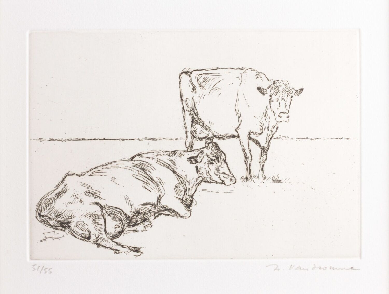 Deux vaches flamandes - Roch VANDROMME