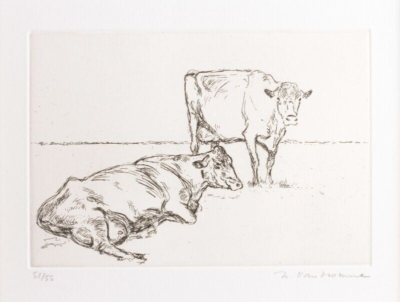 Two flemish cows - Roch VANDROMME