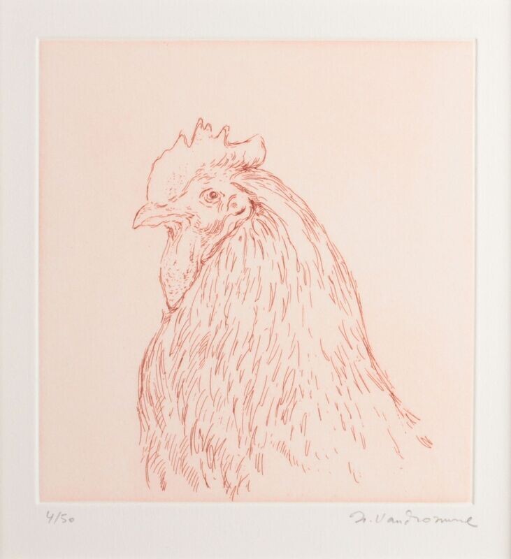 Coq rouge - Roch VANDROMME