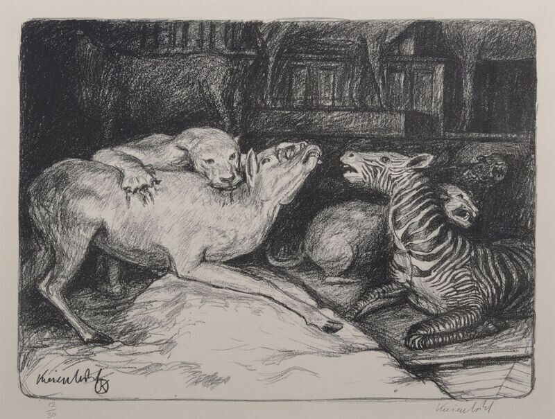 Lion attaquant une antilope - Jürg KREIENBÜHL