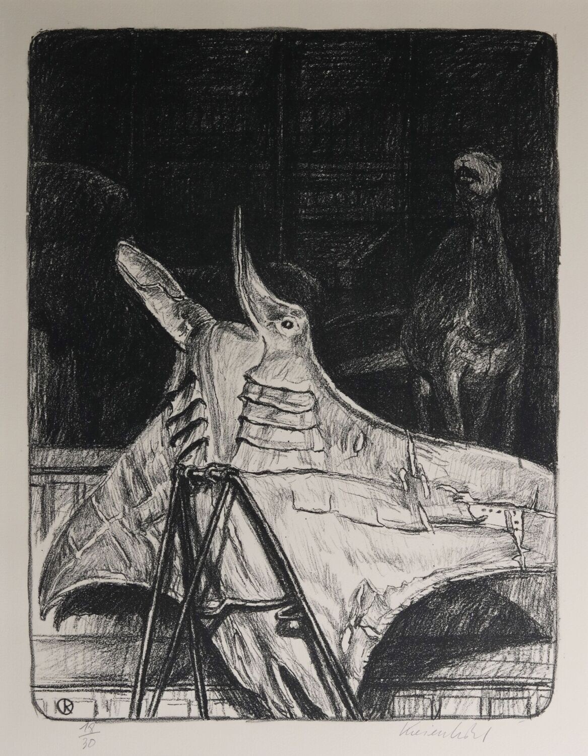 Raie manta - Jürg KREIENBÜHL