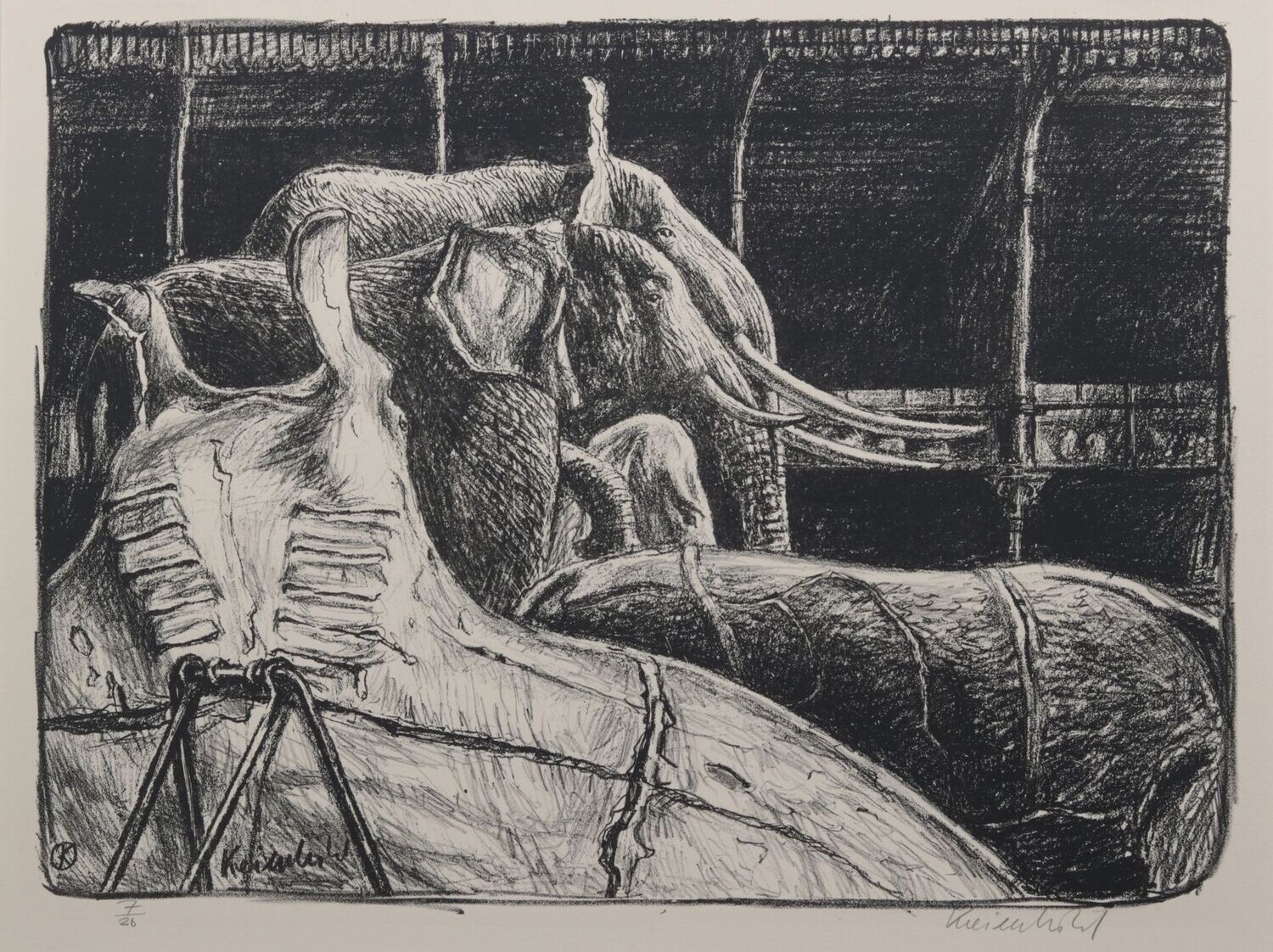 Raie manta et éléphants - Jürg KREIENBÜHL