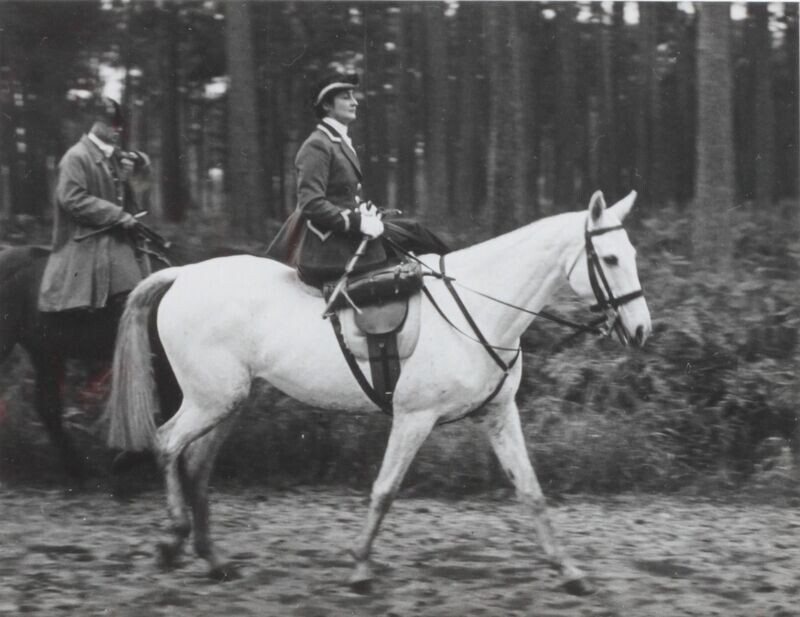 Amazone - Frères SÉEBERGER
