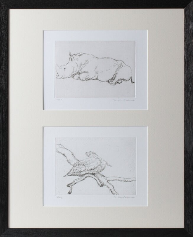 Rhinocéros et Pélican