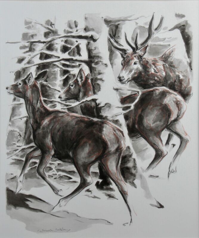 Cerfs neige 2