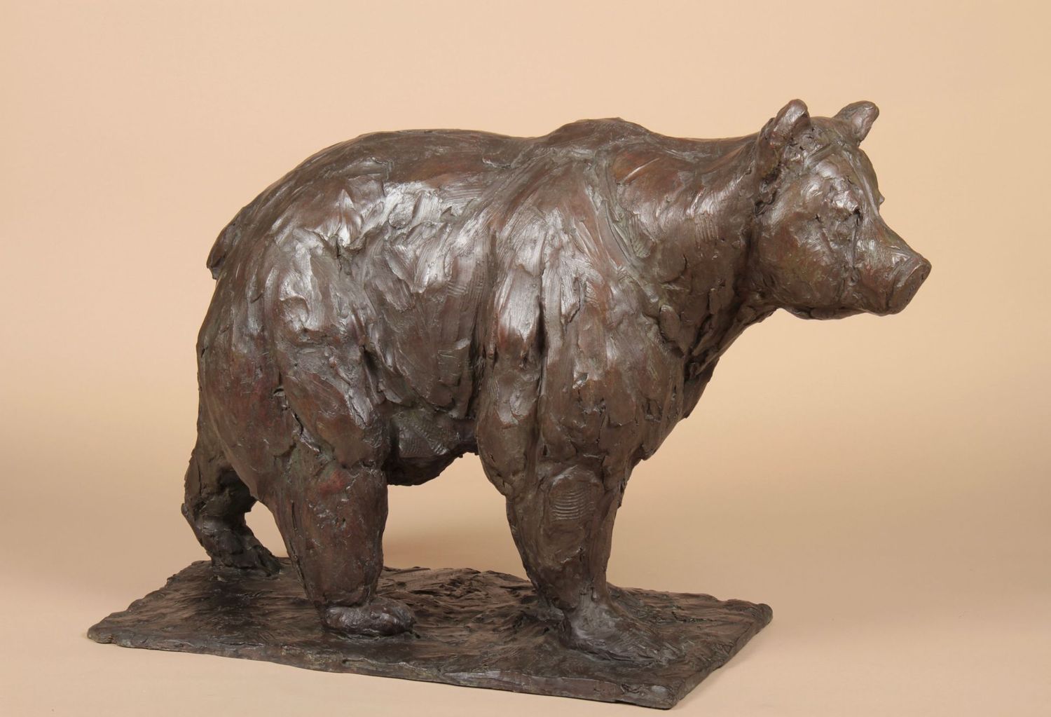 Ours brun