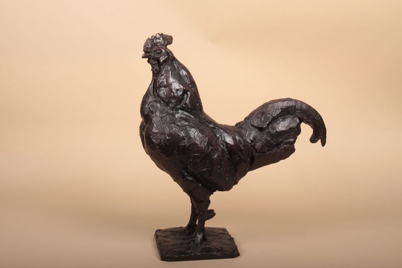 Coq Barbu - Roch VANDROMME
