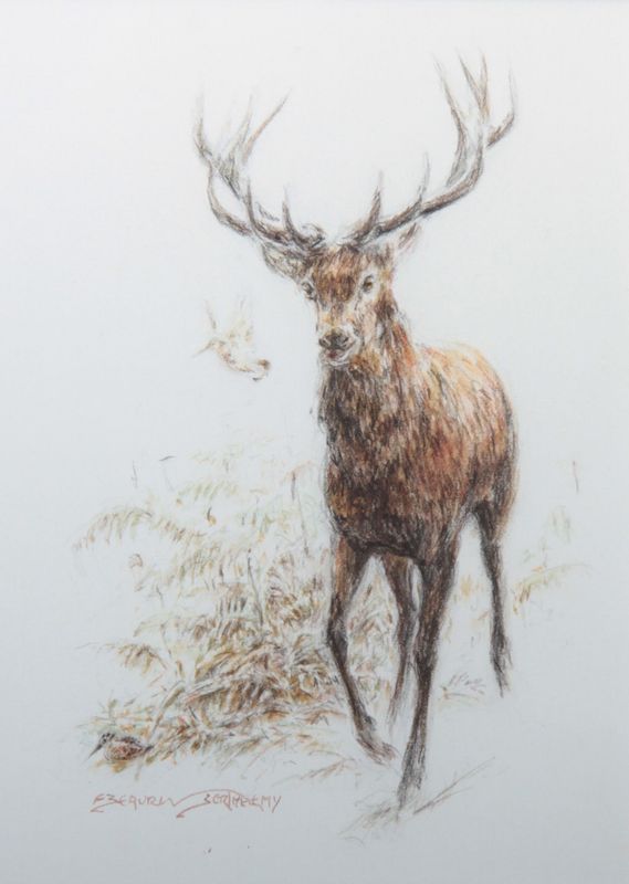 Cerf et bécasse