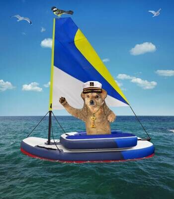 Learn to Sail (Non-Member)