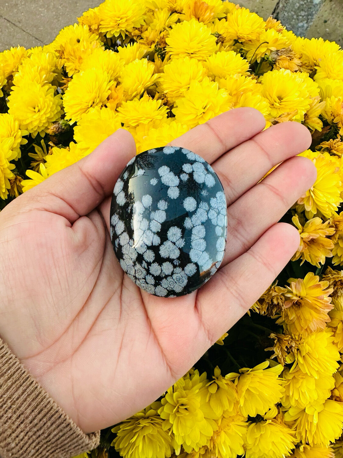 Snowflake Obsidian Palmstone