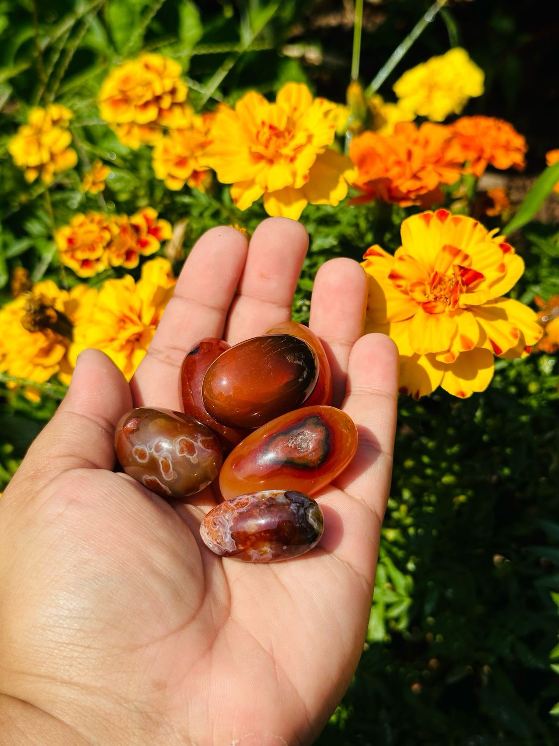 Carnelian Tumble