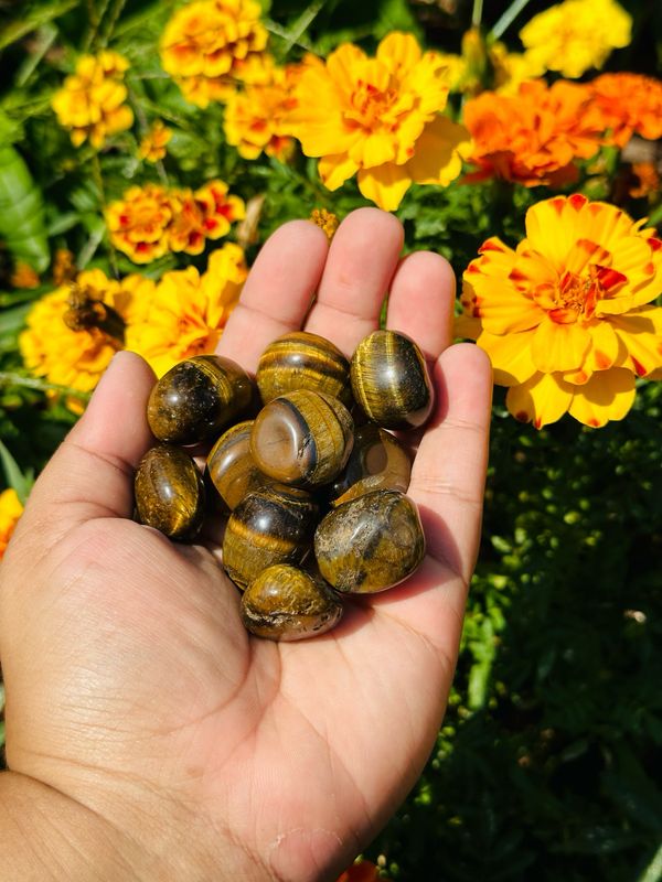 Golden Tigers Eye Tumble