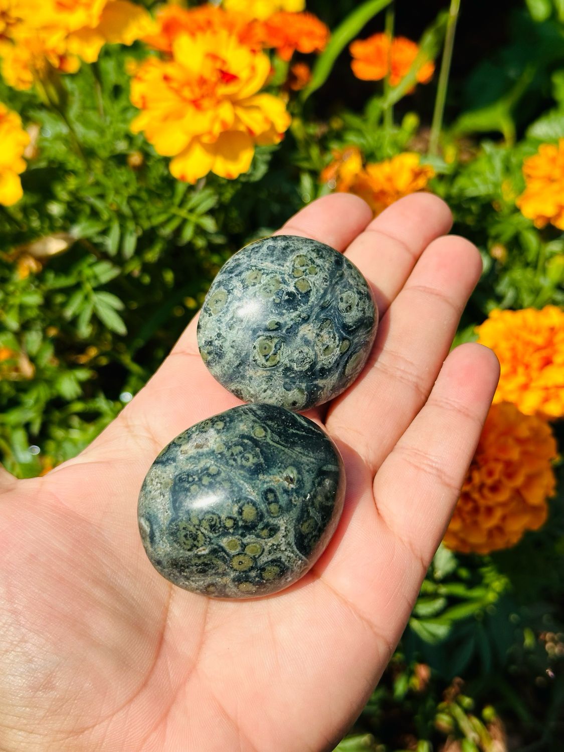 Kambaba Jasper Palm Stone