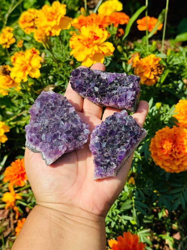 Amethyst Cluster(s)
