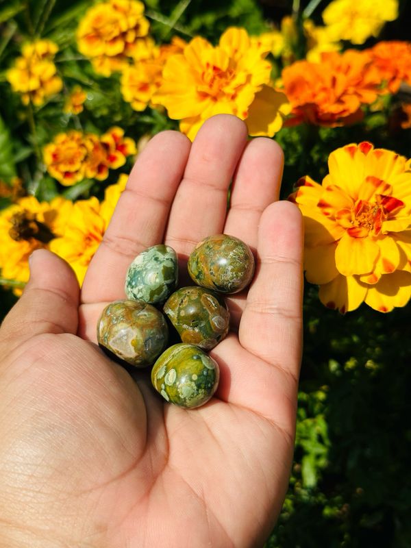 Rainforest Jasper Tumble